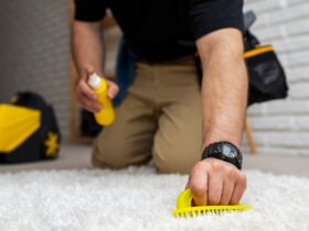 Effective Carpet Beetle Treatments