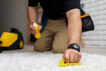Effective Carpet Beetle Treatments