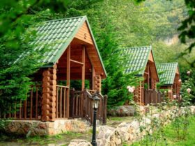 Garden Sheds