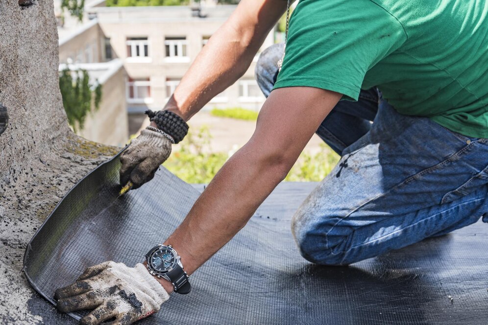 Roof Moss Treatment